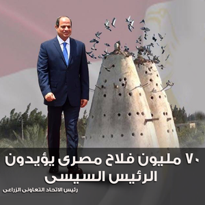  ELSISI KILLING EGYPT PEOPLE WITH TORTURE DEATH