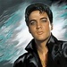 Elvis In Art - elvis-presley icon