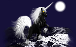  Moonlight Unicorn