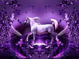  Purple Unicorn 💖