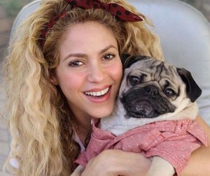  Shakira with a pug