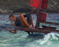The Shallows - horror-movies wallpaper