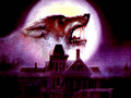 vampires - Wolf wallpaper