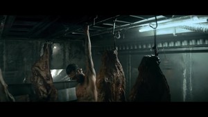  animals (music video)