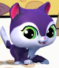  purple kitty