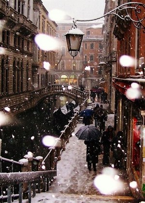  217236 Snow In Venice