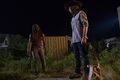 8x08 ~ How It's Gotta Be ~ Carl and Michonne - the-walking-dead photo