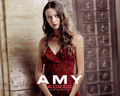 amy-acker - Amy Acker wallpaper