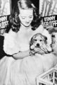 Bette Davis and her Dog - bette-davis photo