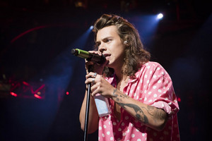  Harry in rose