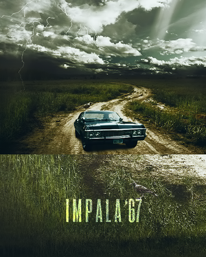  Impala
