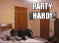 Party Hard  - random photo