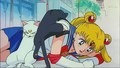 Sailor Moon Luna and Artamas  - sailor-moon photo