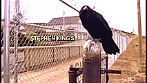  Stephen King: The Stand