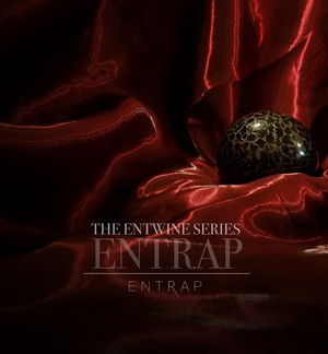  The Entwine Series Entrap