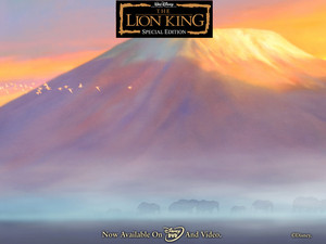 The Lion King the lion king 541191 1024 768