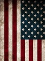 United States of America Flag         - random photo