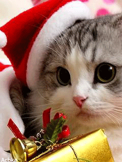  Wishing Heather A Beautiful Christmas 🎁