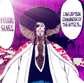 *Shunsui Kyoraku : The Captain Commander : Bleach* - anime photo