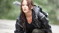 4f69f473d47a2 preview 699 - the-hunger-games photo