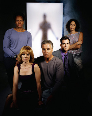  CSI Cast