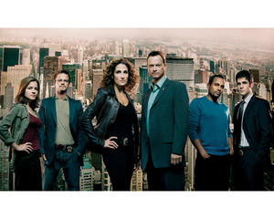  CSI: NY Cast