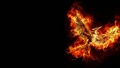 Logo The Hunger Games Mockingjay Part 2 - the-hunger-games photo