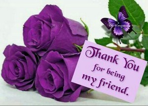  Thank Du For Being My Friend - Purple Rosen Just For Du