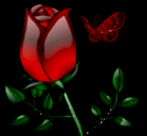  Red Rose For Valentine's Tag