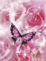 Roses And Butterflies  - butterflies fan art