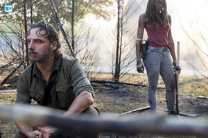 8x10 ~ The  Lost and the Plunderers ~ Rick & Michonne