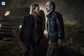 8x13 ~ Do Not Send Us Astray ~ Dwight and Simon - the-walking-dead photo