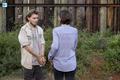 8x13 ~ Do Not Send Us Astray ~ Maggie and Alden - the-walking-dead photo