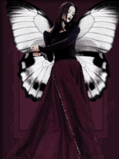  angel of the borboletas