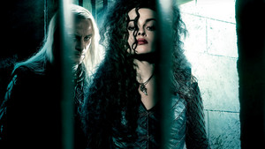  Bellatrix and Lucius