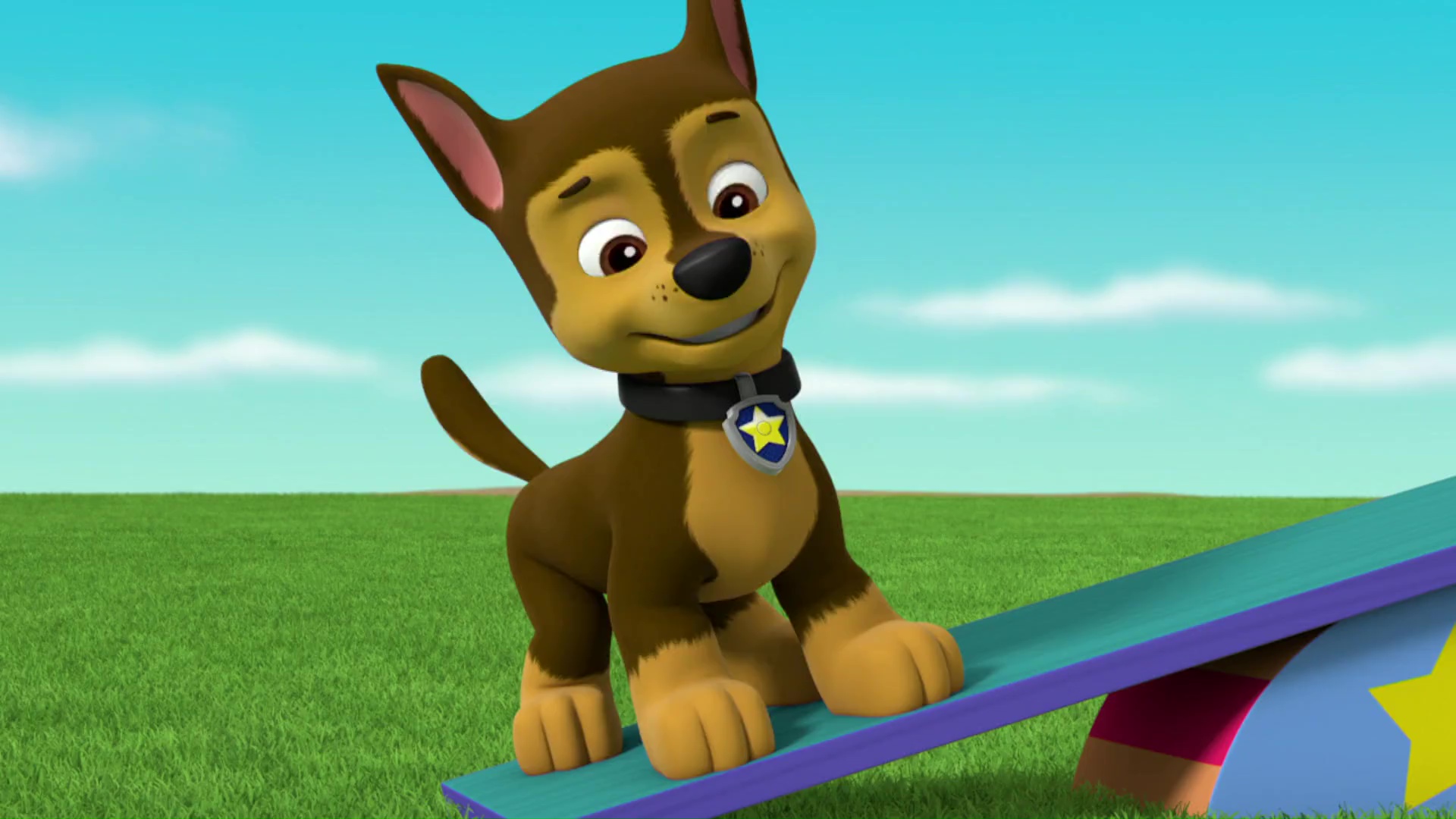 chase  skye and chase  paw patrol photo 41145972  fanpop