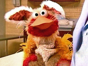  Elmo as A Chicken-Kitten-Cow-Bunny (Sesame Street)