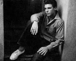  Eric Hilliard Nelson -ricky nelson(May 8, 1940 – December 31, 1985)