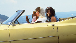  To Wong Foo Thanks for Everything Julie Newmar