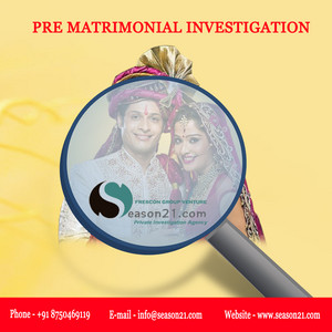  2 pre matrimonial investigation