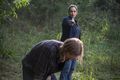 8x11 ~ Dead or Alive Or ~ Dwight and Tara - the-walking-dead photo
