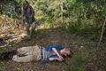 8x11 ~ Dead or Alive Or ~ Harlan - the-walking-dead photo