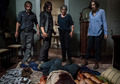 8x13 ~ Do Not Send Us Astray ~ Carol, Daryl, Rick and Maggie - the-walking-dead photo