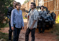 8x13 ~ Do Not Send Us Astray ~ Maggie and Alden - the-walking-dead photo