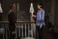 8x13 ~ Do Not Send Us Astray ~ Maggie and Wesley - the-walking-dead photo