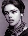 Edith Minturn "Edie" Sedgwick (20 April 1943 – 16 November 1971) - celebrities-who-died-young photo