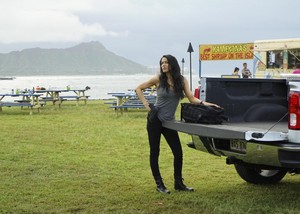  Hawaii Five-0 - Episode 8.20