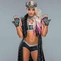 Wrestlemania 34 Ring Gear ~ Alexa Bliss - wwe photo