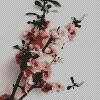 http://images6.fanpop.com/image/photos/41200000/aesthetic-flower-icons-aesthetic-41271844-100-100.jpg