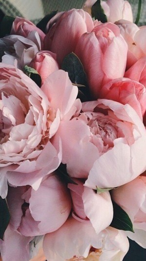  aesthetic flores ❀